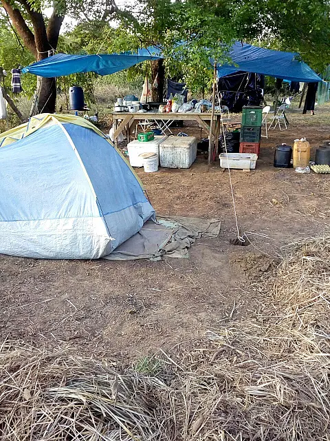 Polícia desmonta acampamento e multas 3 turistas por pesca ilegal em MS