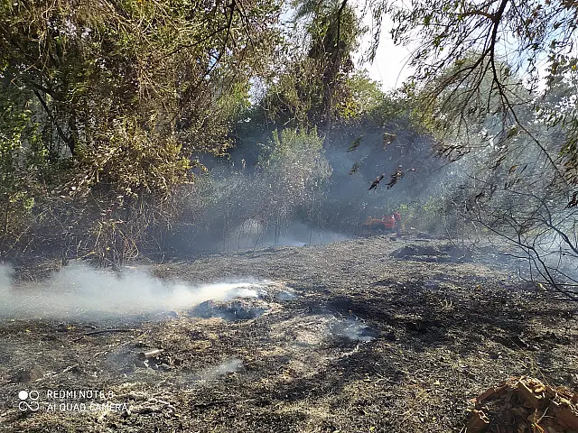 Incêndio na região do Parque da Lagoa Comprida é controlado por bombeiros