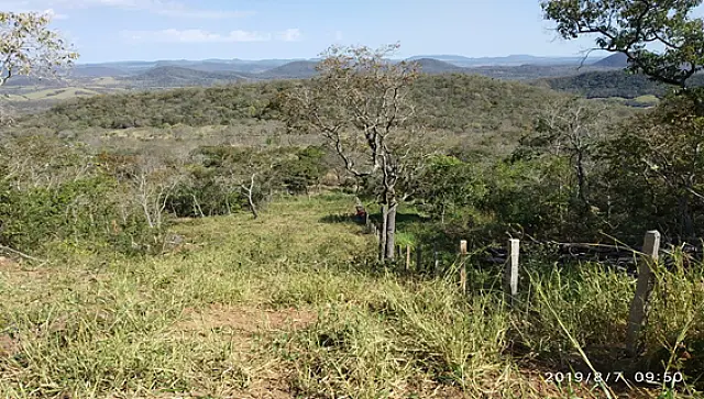 Polícia Militar Ambiental autua infrator em R$ 9 mil por desmatamento ilegal em área de vegetação nativa