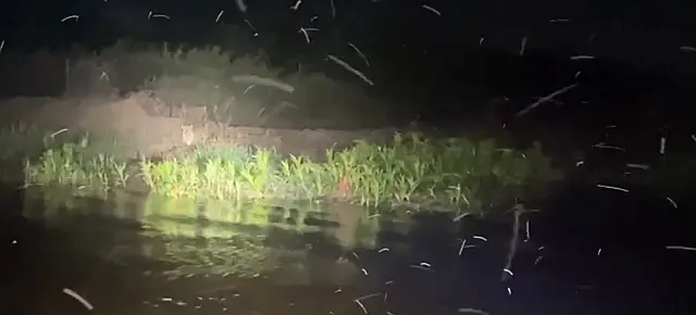 Em rotina de fiscalização, PMA encontra onça observando e cervo morto no rio Ivinhema