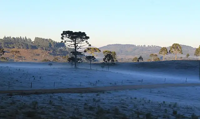 Massa de ar frio provoca queda de temperatura e geada no Sul do país