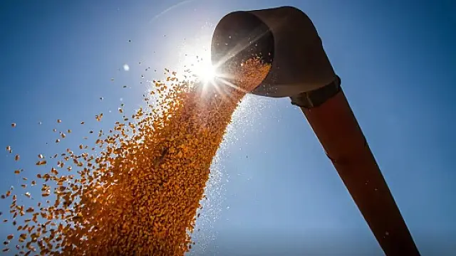 Brasil deve atingir novo recorde na produção de grãos, aponta Conab