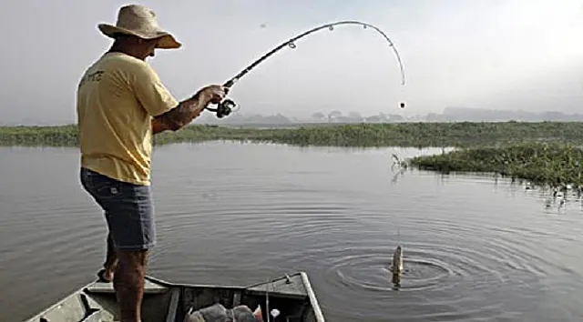 Tendência mundial, cota zero para pesca amadora já é realidade em diversos estados brasileiros