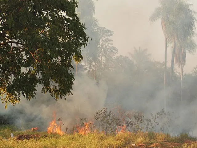 Corpo de Bombeiros combate incêndio no Parque da Lagoa Comprida