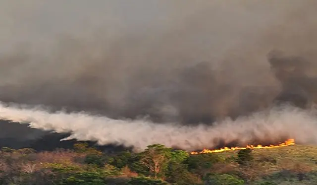 MS declara estado de emergência ambiental por 180 dias