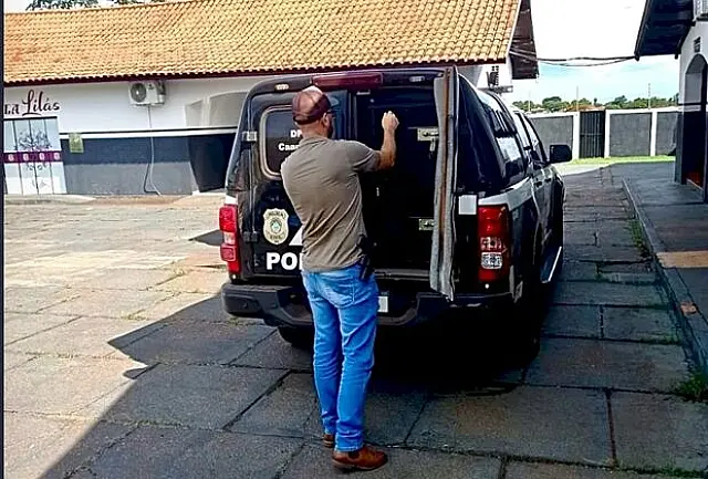 Jovem mutila dedos de namorada de 15 anos e acaba preso
