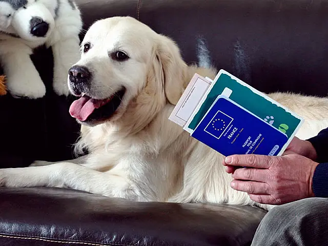 Passaporte para cães e gatos chega com objetivo de reduzir burocracia