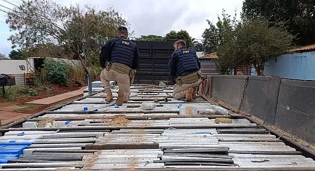 PRF apreende tonelada de maconha em caminhão na BR-163 de Campo Grande