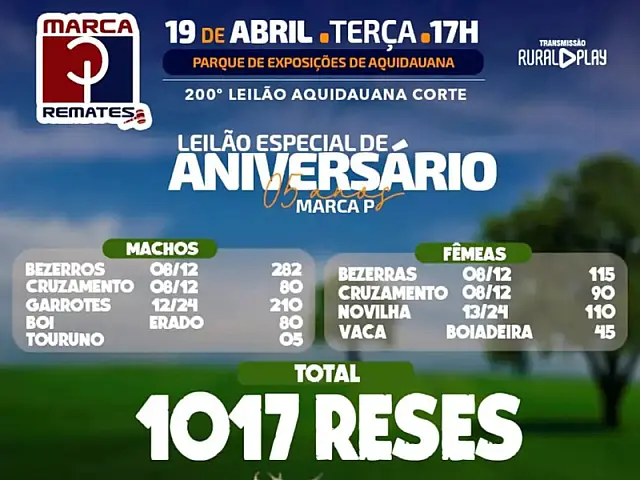 Marca P Remates comemora 5 anos de presença e sucesso em leilões rurais