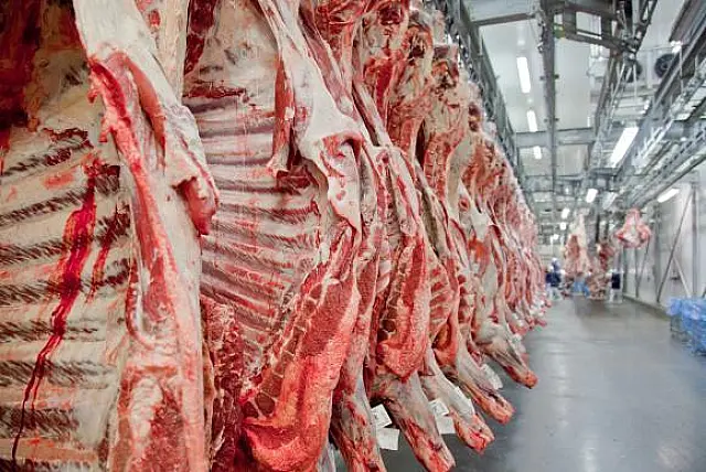 Produção do complexo carne registra crescimento de 14% em janeiro