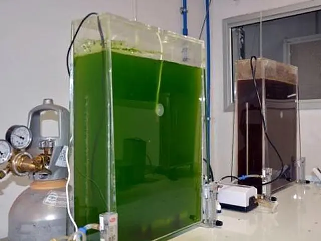 Pesquisa da Embrapa identifica microalgas que geram biocombustíveis