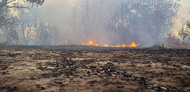 Aquidauana receberá repasses federais para combate a incêndios