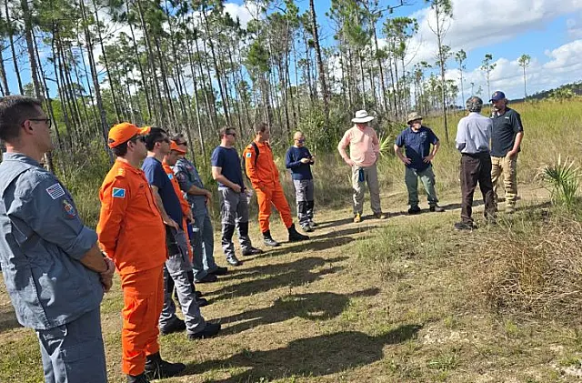 MS poderá adotar estratégias dos EUA contra incêndios florestais