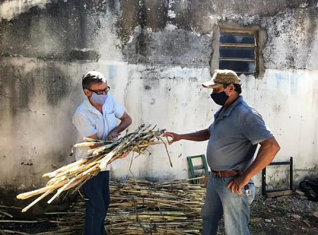 Produtores recebem suplementação que auxiliará na alimentação no período da seca