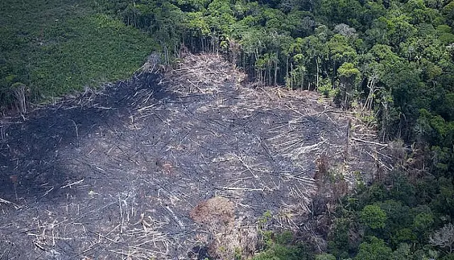 Manifestação contra desmatamento da Amazônia acontece nesta sexta em Campo Grande