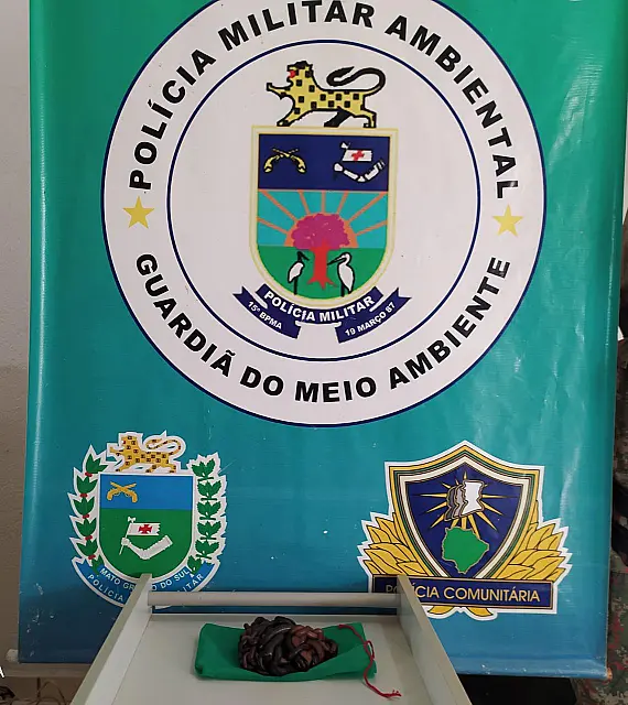 Homem é preso vendendo minhocoçus em Miranda