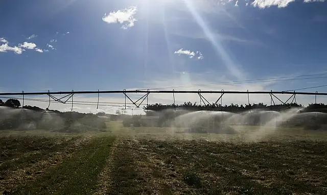 MS ocupa lista de região mais rica no agronegócio em 2023
