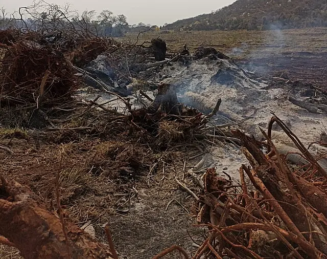 Homem é multado em R$ 3 mil por incendiar vegetação em período proibido
