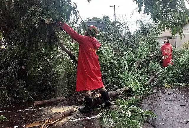 Chuva em Corumbá causa queda de árvores e movimenta plantão dos bombeiros