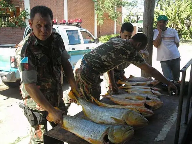 PMA registra diminuição de prisões na Operação Piracema