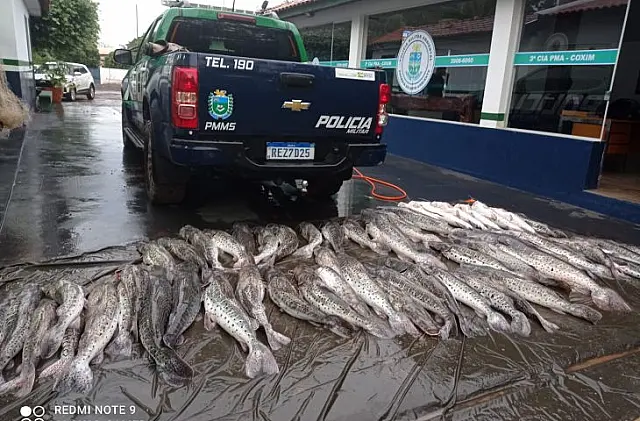 PMA prende 8 por crimes ambientais, apreende 360 kg de pescado e aves em extinção