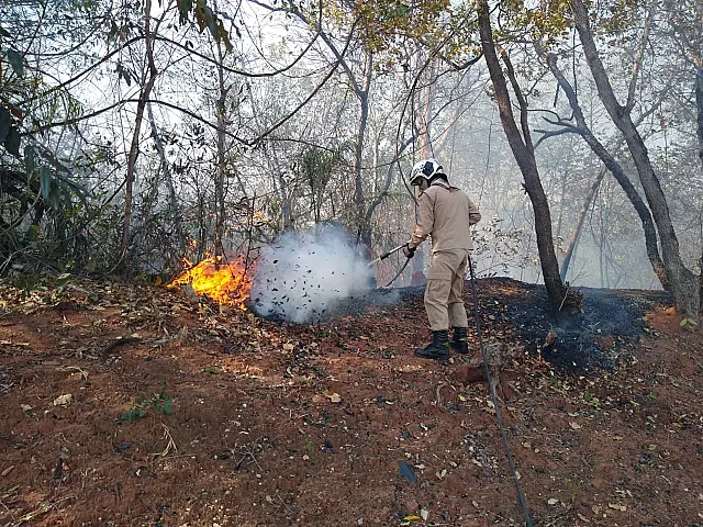 Fogo consome vegetação na saída de Anastácio e destrói barraco de morador de rua