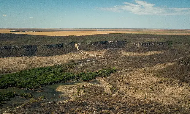 Desmatamento no Cerrado tem queda
