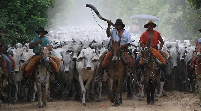 Governo e produtores apostam em sustentabilidade para fortalecer pecuária e preservar Pantanal