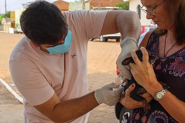 Prefeitura de Nioaque realiza "Dia D" da vacinação antirrábica animal