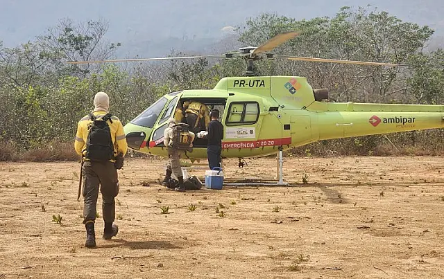 Incêndio destrói 60 mil hectares no Pantanal Mato-Grossense