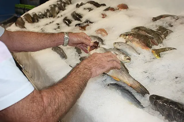 Procon encontra produtos vencidos e peixes em deterioração em supermercado