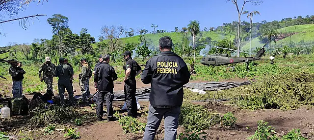 Polícia Federal deflagra nova fase de operação para erradicar cultivos de maconha no Paraguai