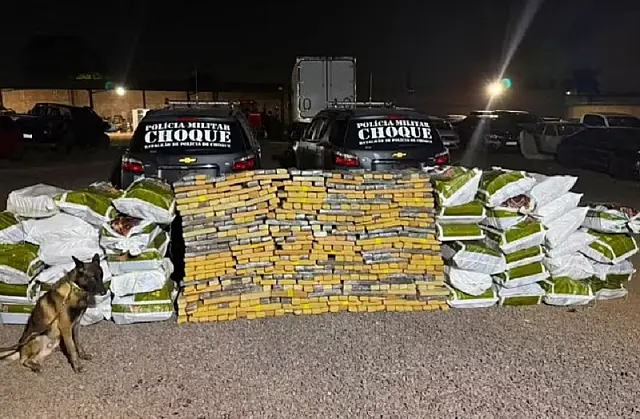 Cão farejador localiza bunker com mais de 1,2 tonelada de maconha em MS