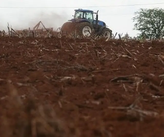 Soja bate R$ 84 e acelera venda antecipada do grão no Estado