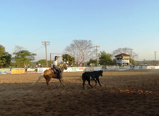 Bonito se prepara para a 34ª Festa do Peão de Boiadeiro em maio