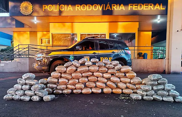 PRF apreende quase 75 quilos de skunk escondidos em bagagens de ônibus na BR-262