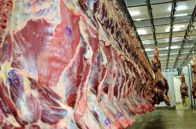 Brasil escoou 1,6 milhão de toneladas de carne bovina este ano