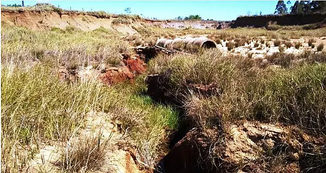 PMA autua fazendeiro em R$ 11 mil por vossoroca em fazenda com degradação de nascentes