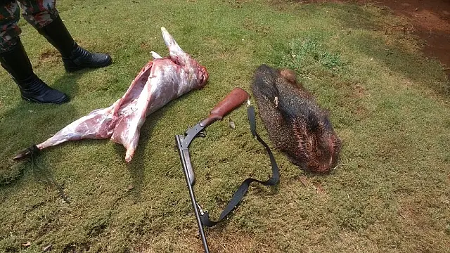 Homens são presos com animais abatidos, armas e munições
