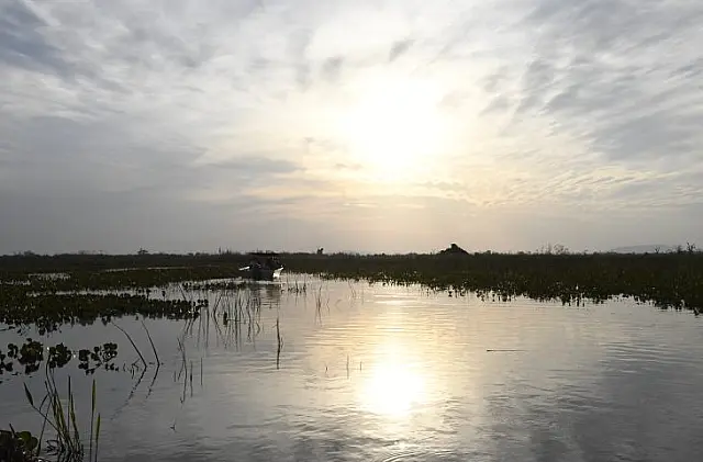 Lei do Pantanal tem reconhecimento de entidades e ONGs