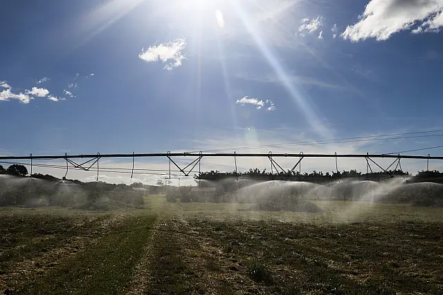Censo Agropecuário: Brasil tem 5 milhões de estabelecimentos rurais