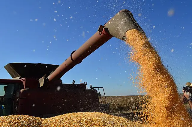 Sem chuva, produção da soja já tem diminuição de 27% em MS