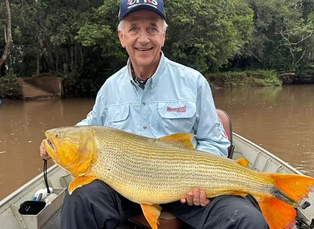 Pescador fisga dourado gigante no Rio Brilhante e impressiona pela raridade