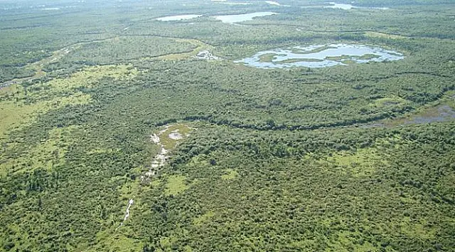 Hoje é o Dia do Pantanal, Patrimônio da Humanidade e Reserva da Biosfera