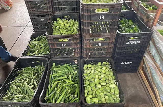 Mamão, quiabo, batata: saiba o que ficou mais barato na Ceasa