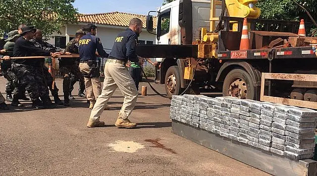 Com ajuda de cães farejadores, polícia apreende mais de 220 kg de cocaína escondida em caminhão