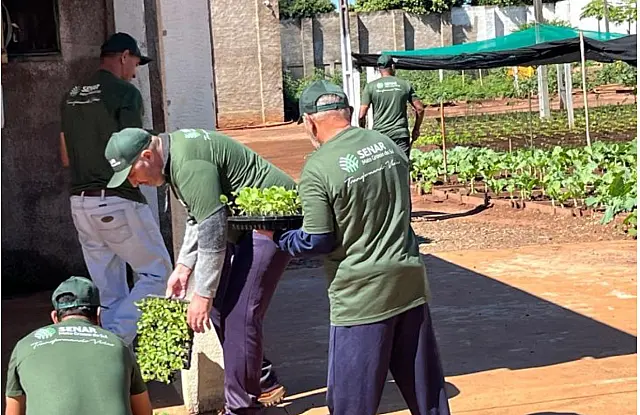 Reeducandos aprendem a ampliar produtividade de hortaliças em MS