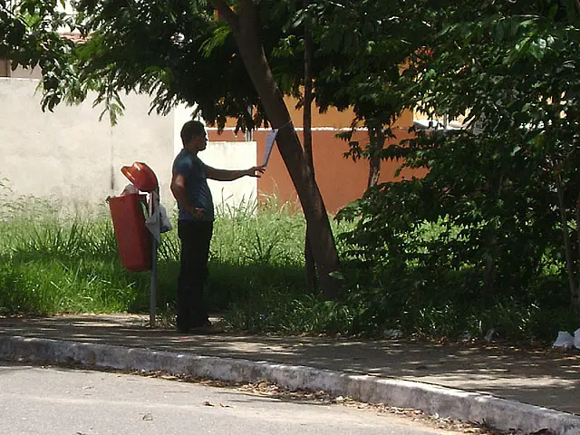 Aquidauana participa da mobilização nacional 'Um Poema em Cada Árvore'