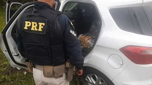 PRF apreende cerca de 307 quilos de maconha na BR-262