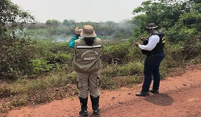 PANTANAL: PMA aguarda laudo pericial para autuar fazendas por crime ambiental